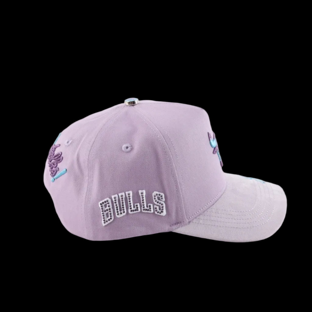 BULLS TUNES SH