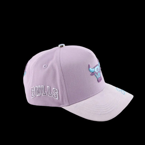BULLS TUNES SH